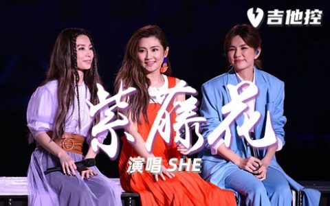 紫藤花吉他谱,歌曲,G调简单指弹教学简谱,3张六线谱图片